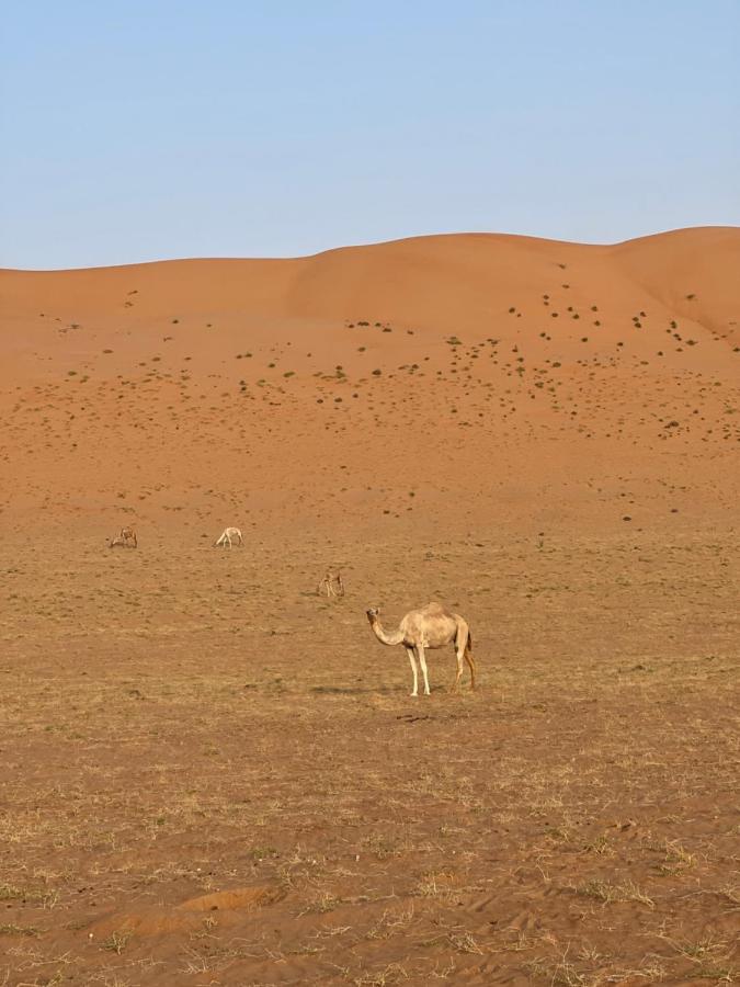 Thousand Stars Desert Camp Bidiya Exterior foto