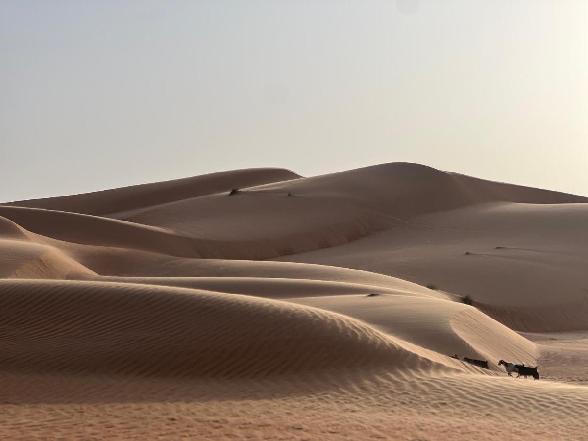 Thousand Stars Desert Camp Bidiya Exterior foto