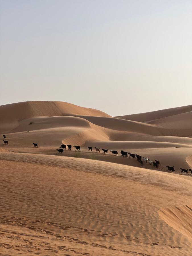 Thousand Stars Desert Camp Bidiya Exterior foto