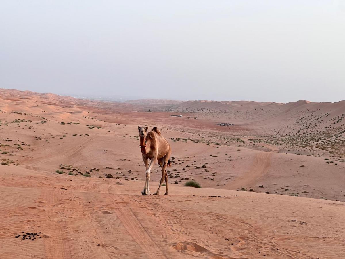Thousand Stars Desert Camp Bidiya Exterior foto
