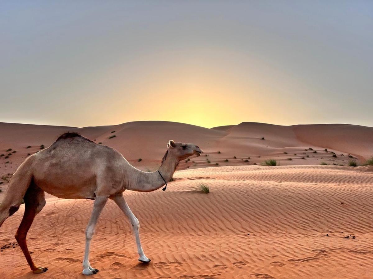Thousand Stars Desert Camp Bidiya Exterior foto