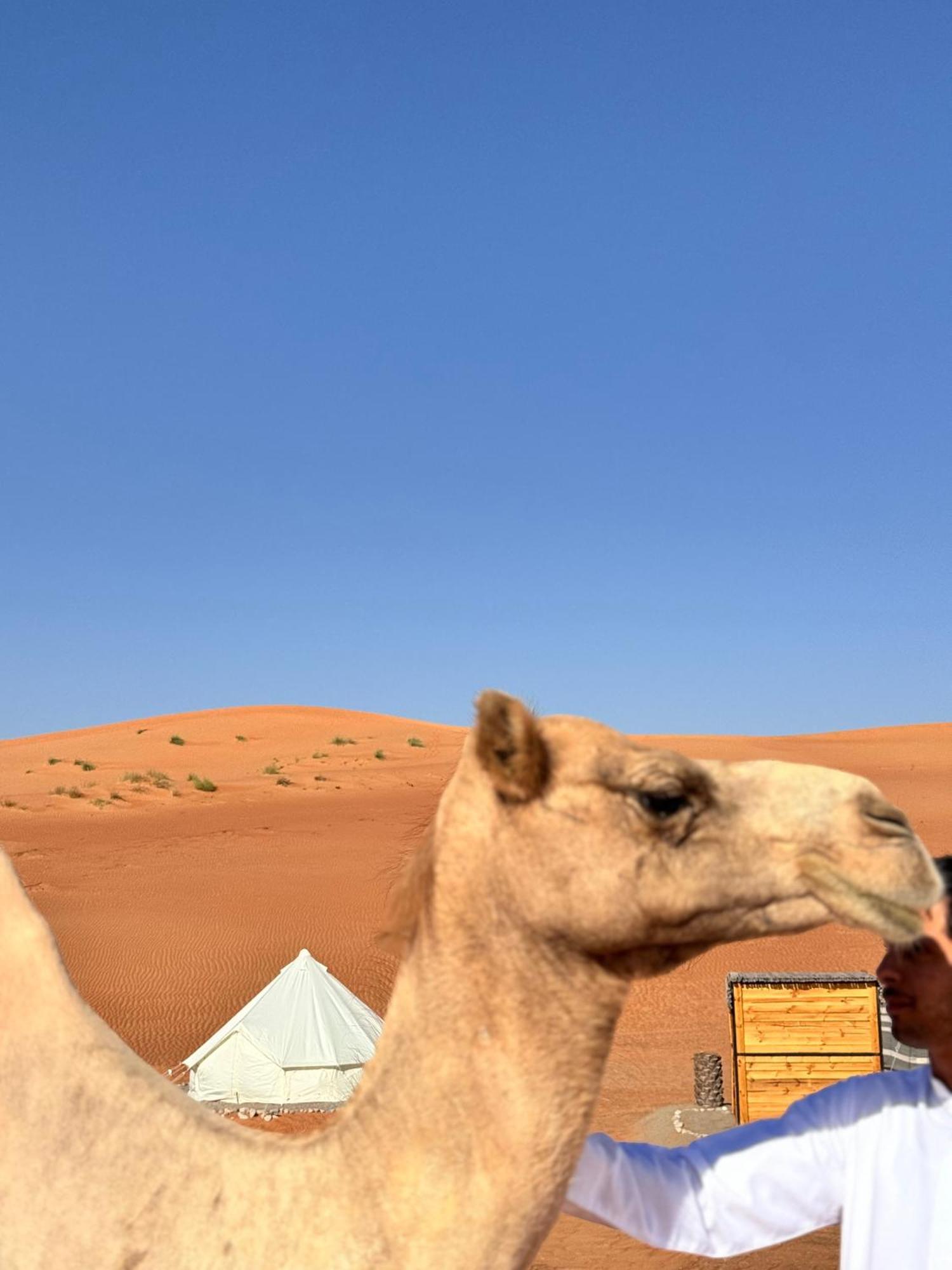 Thousand Stars Desert Camp Bidiya Exterior foto